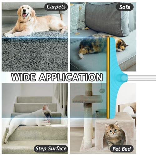 Best Carpet Rake For Removing Dog Hair From Rugs